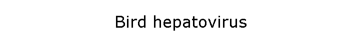 Bird hepatovirus