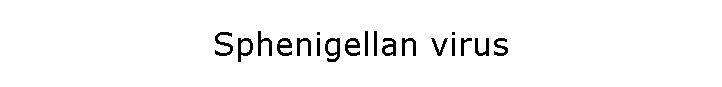 Sphenigellan virus