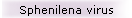 Sphenilena virus