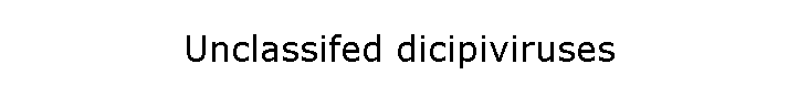 Unclassifed dicipiviruses