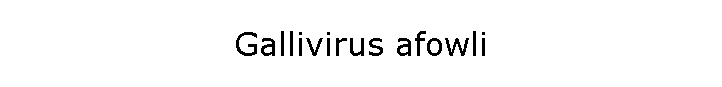 Gallivirus afowli