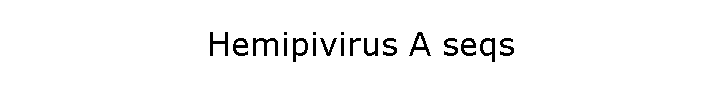Hemipivirus A seqs