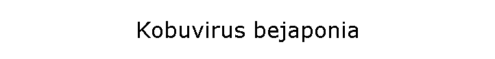 Kobuvirus bejaponia