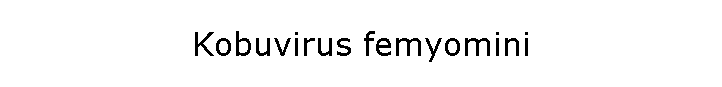 Kobuvirus femyomini