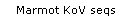 Marmot KoV seqs