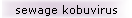 sewage kobuvirus