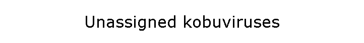 Unassigned kobuviruses