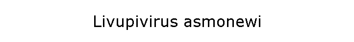 Livupivirus asmonewi