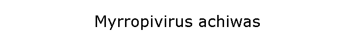 Myrropivirus achiwas