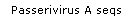 Passerivirus A seqs