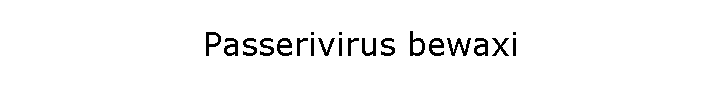 Passerivirus bewaxi