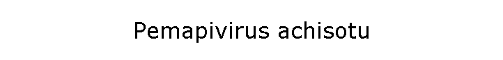 Pemapivirus achisotu