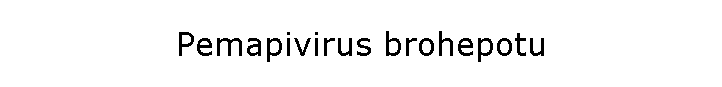 Pemapivirus brohepotu