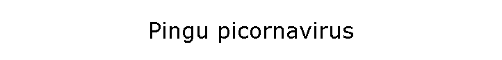 Pingu picornavirus