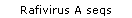 Rafivirus A seqs