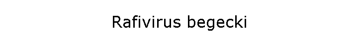 Rafivirus begecki