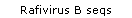 Rafivirus B seqs