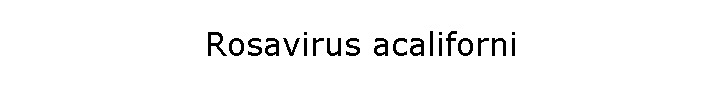 Rosavirus acaliforni