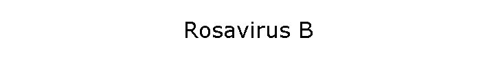 Rosavirus B