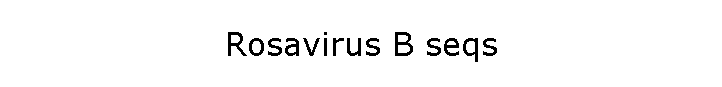 Rosavirus B seqs