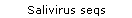 Salivirus seqs