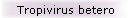 Tropivirus betero