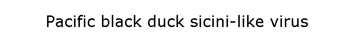 Pacific black duck sicini-like virus