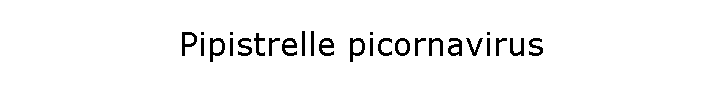 Pipistrelle picornavirus