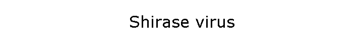 Shirase virus