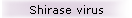 Shirase virus