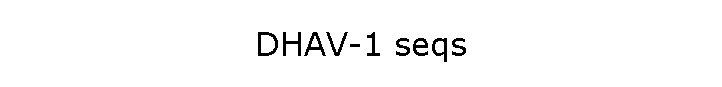 DHAV-1 seqs