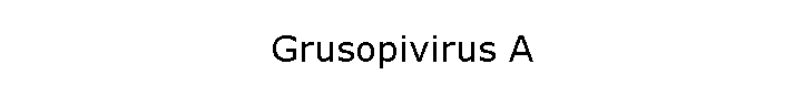 Grusopivirus A