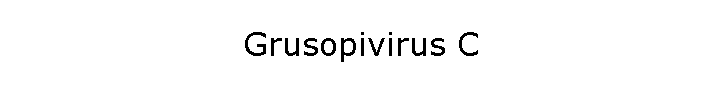 Grusopivirus C
