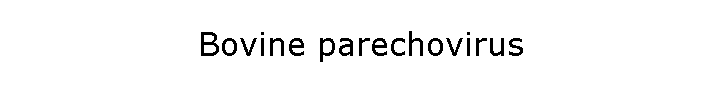 Bovine parechovirus