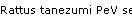 Rattus tanezumi PeV seqs
