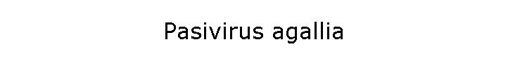 Pasivirus agallia