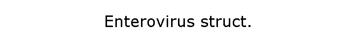 Enterovirus struct.