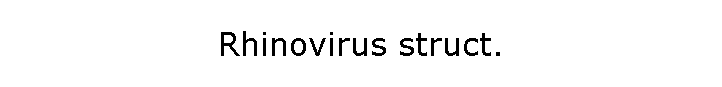 Rhinovirus struct.