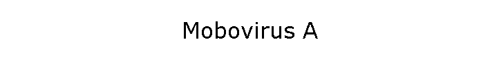 Mobovirus A