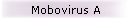 Mobovirus A