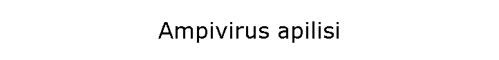Ampivirus apilisi